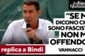 Vannacci e il quarto partito
